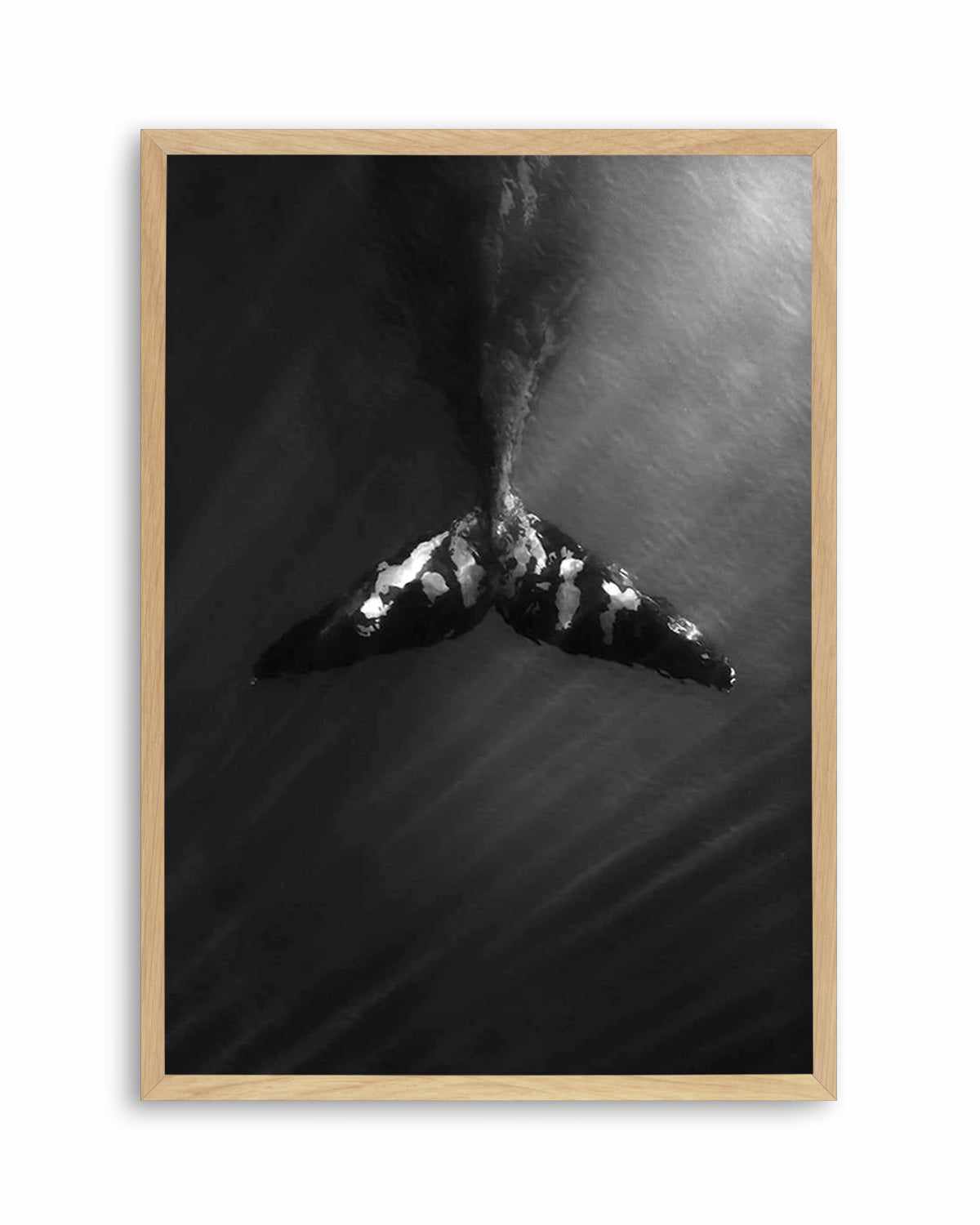 Whale Tail B&W | PT Art Print