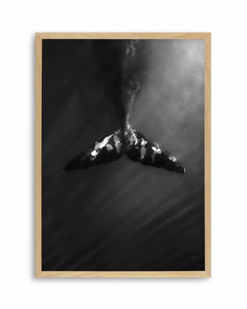 Black and white fine art photograph displayed in a natural wood frame showing a whale's tail emerging from dark, misty ocean waters. Snow-white patches of water spray cling to the dark tail flukes as they breach upward through stormy grey clouds and mist. The composition is dramatic and moody, with the illuminated tail contrasting sharply against the deep charcoal and black tones surrounding it. The print has a vertical portrait orientation and appears to be mounted directly to the frame without a border.