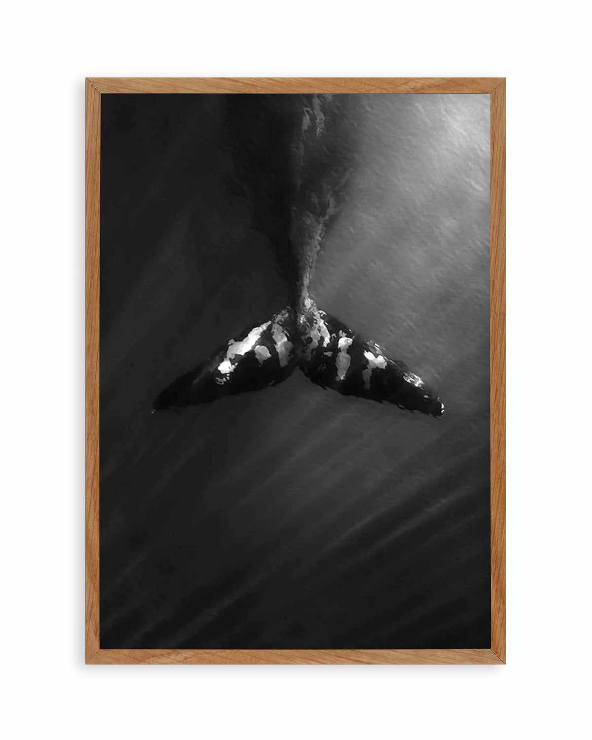 Whale Tail B&W | PT Art Print