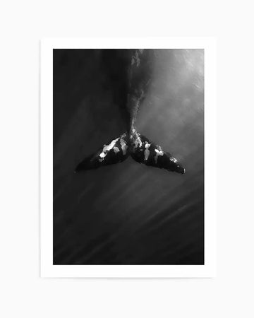 Black and white aerial photograph of a whale's tail flukes breaking the ocean surface, with water spray and light rays streaming down from above. The whale tail displays white patches of water foam against dark skin tones. The composition is centered vertically with a misty, atmospheric quality created by sunlight filtering through the water and mist. The image is mounted on a white border, presented as an art print.