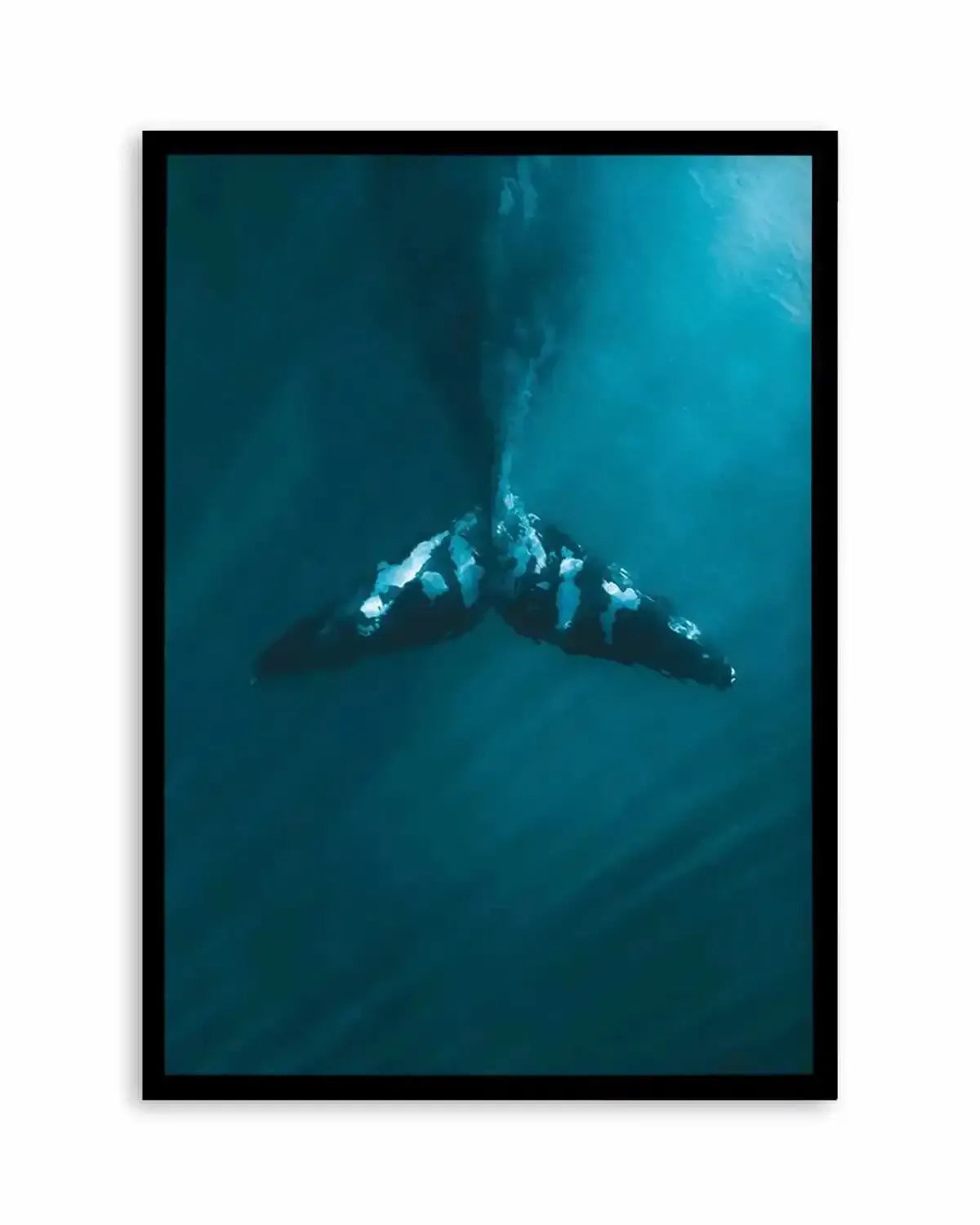 Whale Tail Blue | PT Art Print from Olive et Oriel where you can shop wallpaper and artworks online