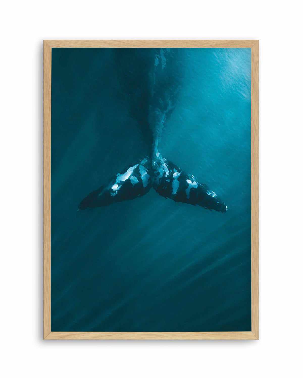 Whale Tail Blue | PT Art Print