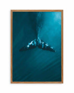 Whale Tail Blue | PT Art Print