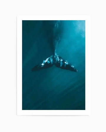 Framed photograph of a whale's tail diving into deep blue ocean water, with natural light rays filtering from the surface. The whale's tail is dark with patches of white, suggesting barnacles or markings, and creates a subtle disturbance in the water.