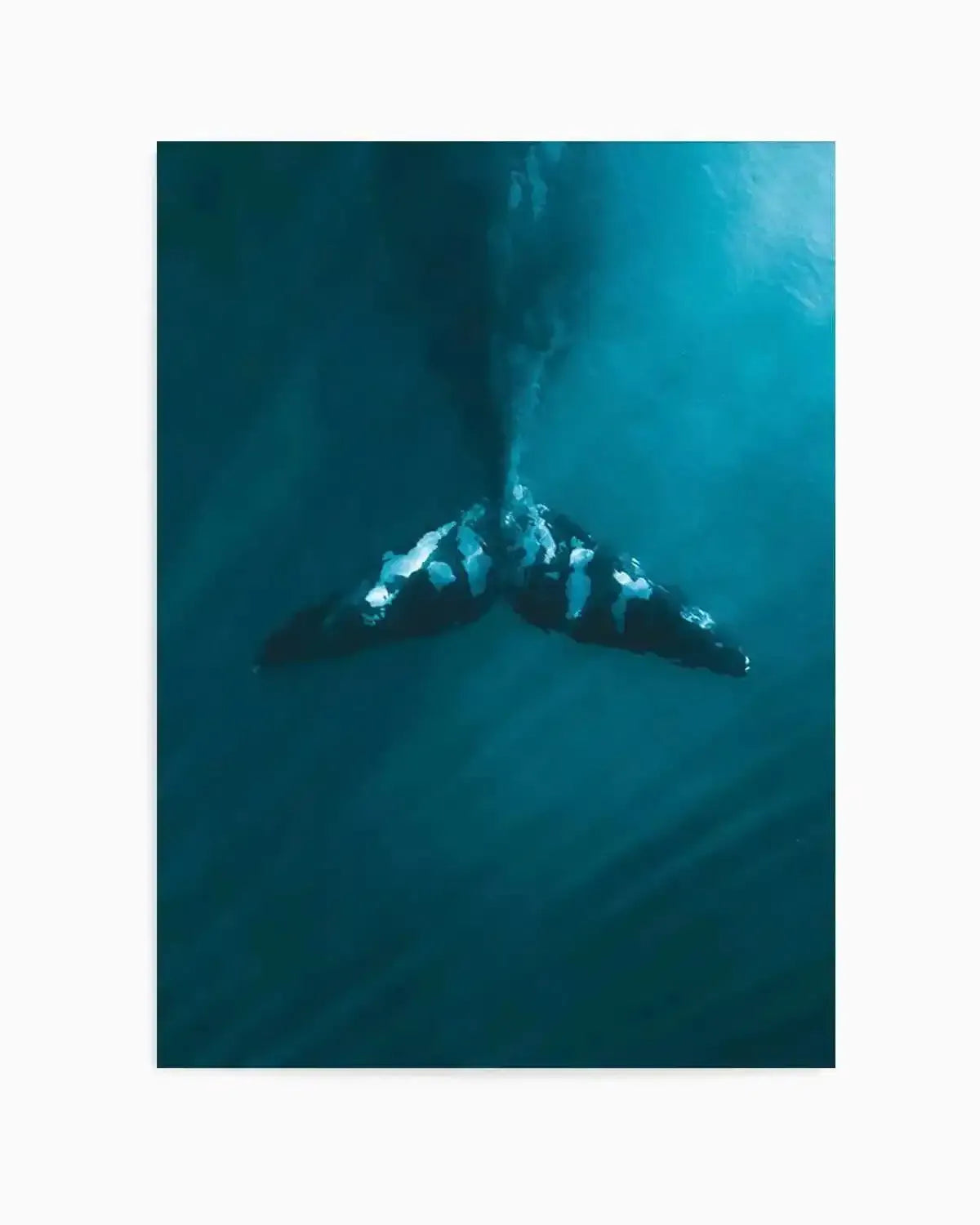 Whale Tail Blue | PT Art Print from Olive et Oriel where you can shop wallpaper and artworks online