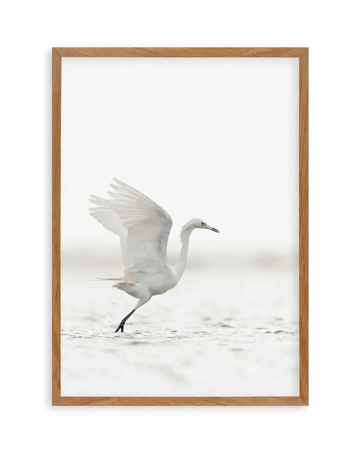 White Bird in Flight Art Print from Olive et Oriel where you can shop wallpaper and artworks online