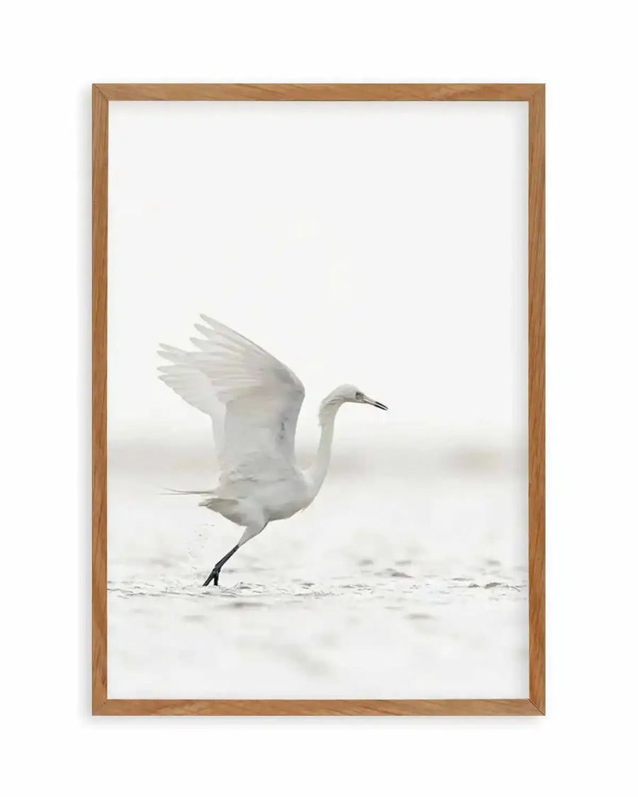Framed photograph of a white egret in shallow water, captured mid-stride with its wings partially open, creating a dynamic composition against a soft, bright background. The bird's white feathers are subtly textured, and its long, dark legs are visible as it moves through the water, creating small splashes. The print is displayed in a natural oak frame with a white border.
