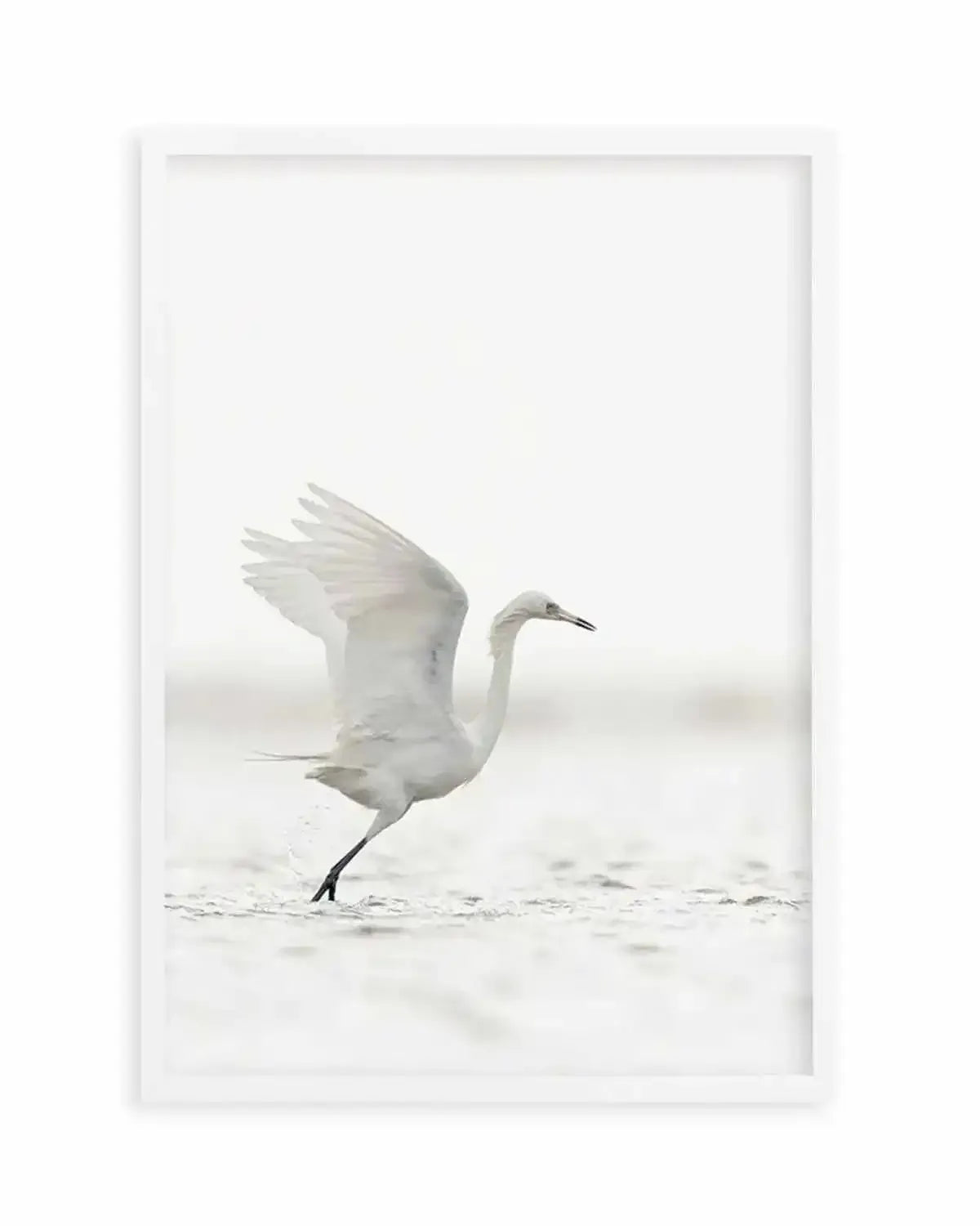 White Bird in Flight Art Print from Olive et Oriel where you can shop wallpaper and artworks online