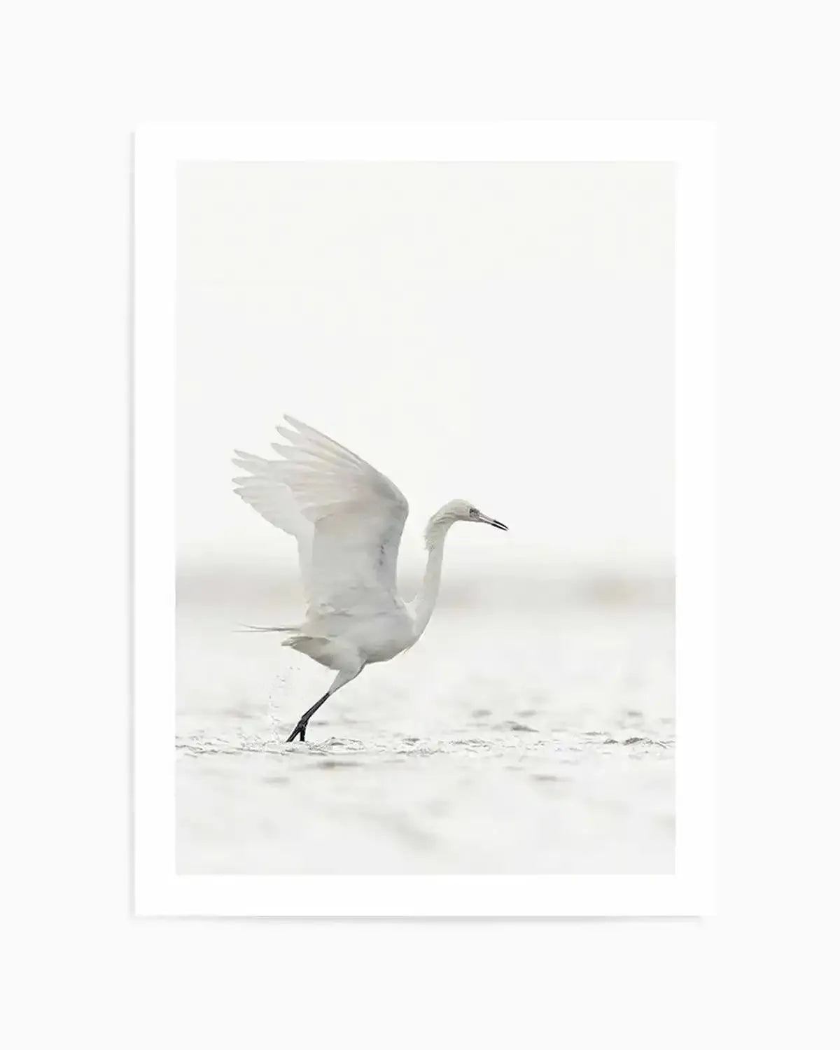 White Bird in Flight Art Print from Olive et Oriel where you can shop wallpaper and artworks online