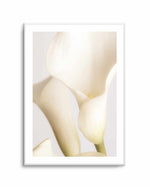 White Calla Lily No 2 By Studio III | Art Print