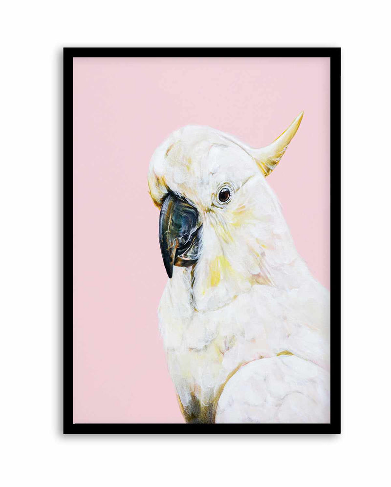White Cockatoo I by Heylie Morris | Art Print