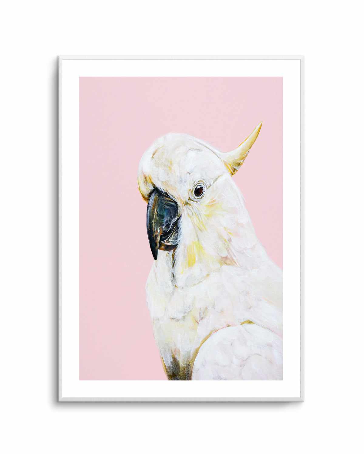 White Cockatoo I by Heylie Morris | Art Print