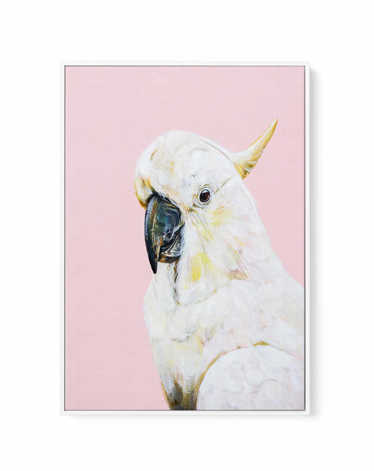 White Cockatoo I by Heylie Morris | Framed Canvas Art Print