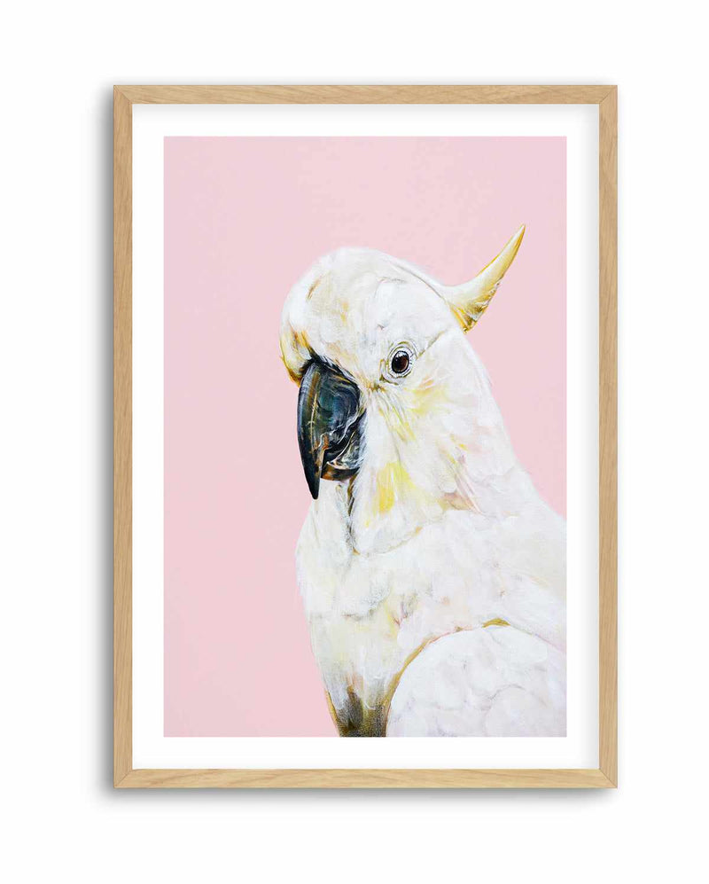 White Cockatoo I by Heylie Morris | Art Print
