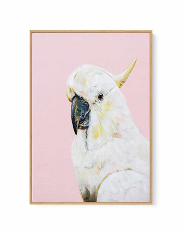 White Cockatoo I by Heylie Morris | Framed Canvas Art Print from Olive et Oriel where you can shop wallpaper and artworks online