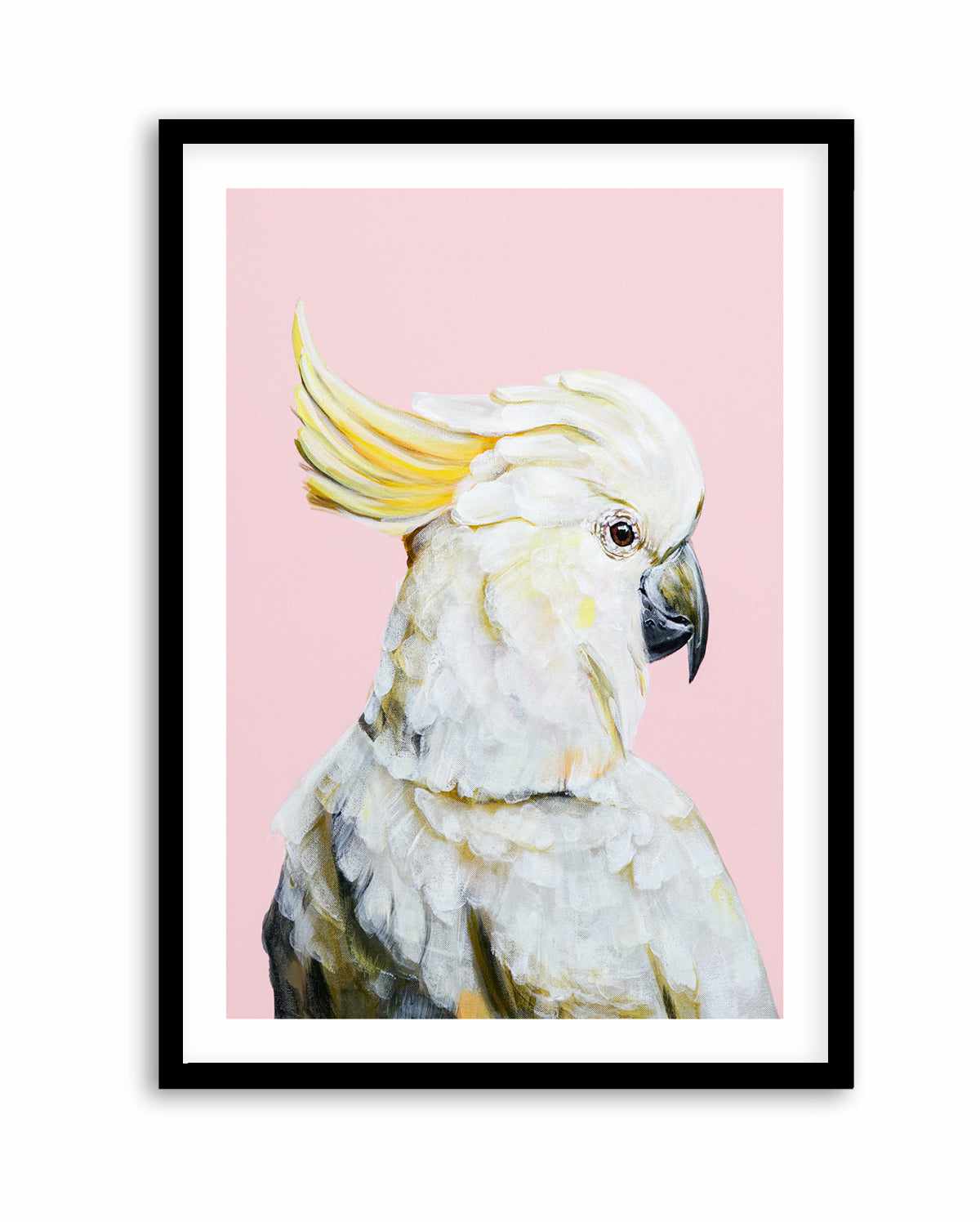 White Cockatoo II by Heylie Morris | Art Print