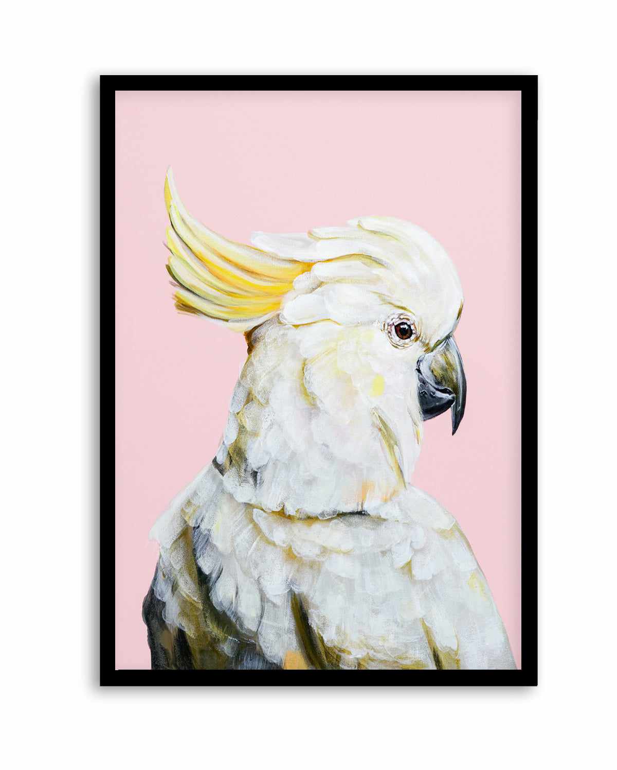 White Cockatoo II by Heylie Morris | Art Print