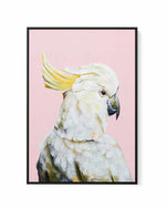 White Cockatoo II by Heylie Morris | Framed Canvas Art Print