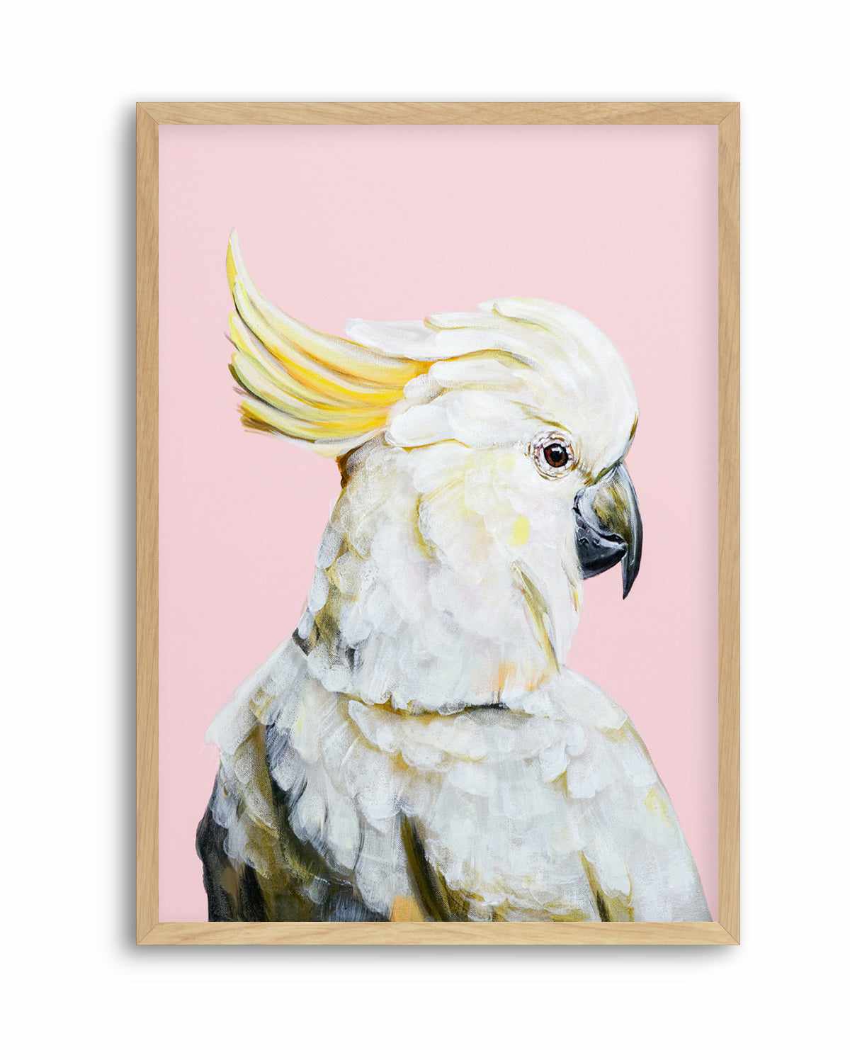 White Cockatoo II by Heylie Morris | Art Print