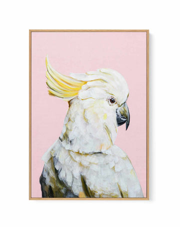 White Cockatoo II by Heylie Morris | Framed Canvas Art Print from Olive et Oriel where you can shop wallpaper and artworks online
