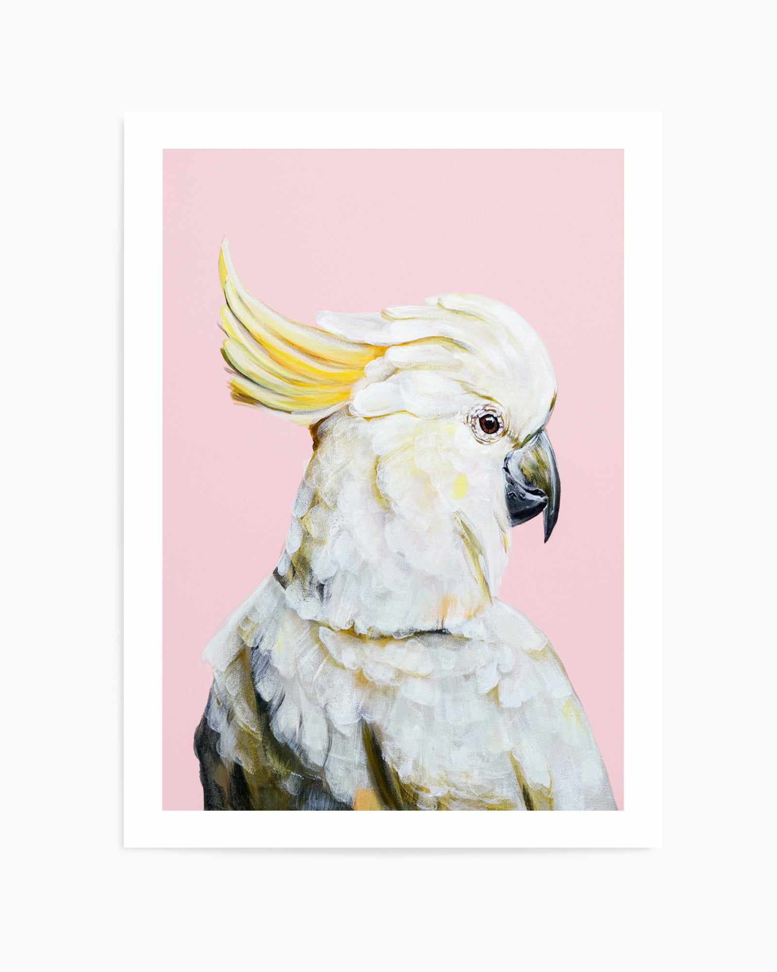 White Cockatoo II by Heylie Morris | Art Print