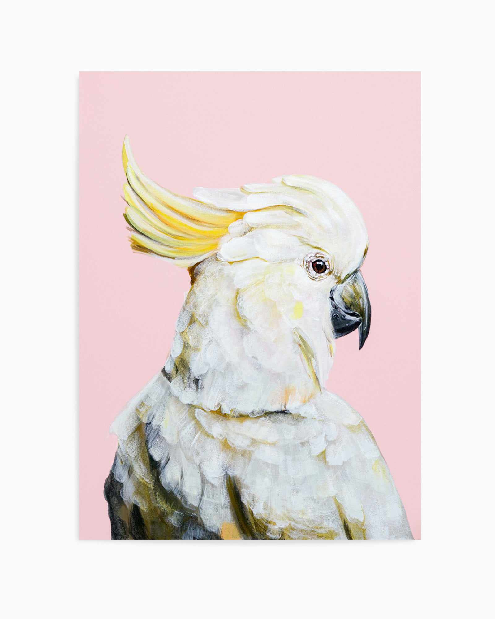 White Cockatoo II by Heylie Morris | Art Print