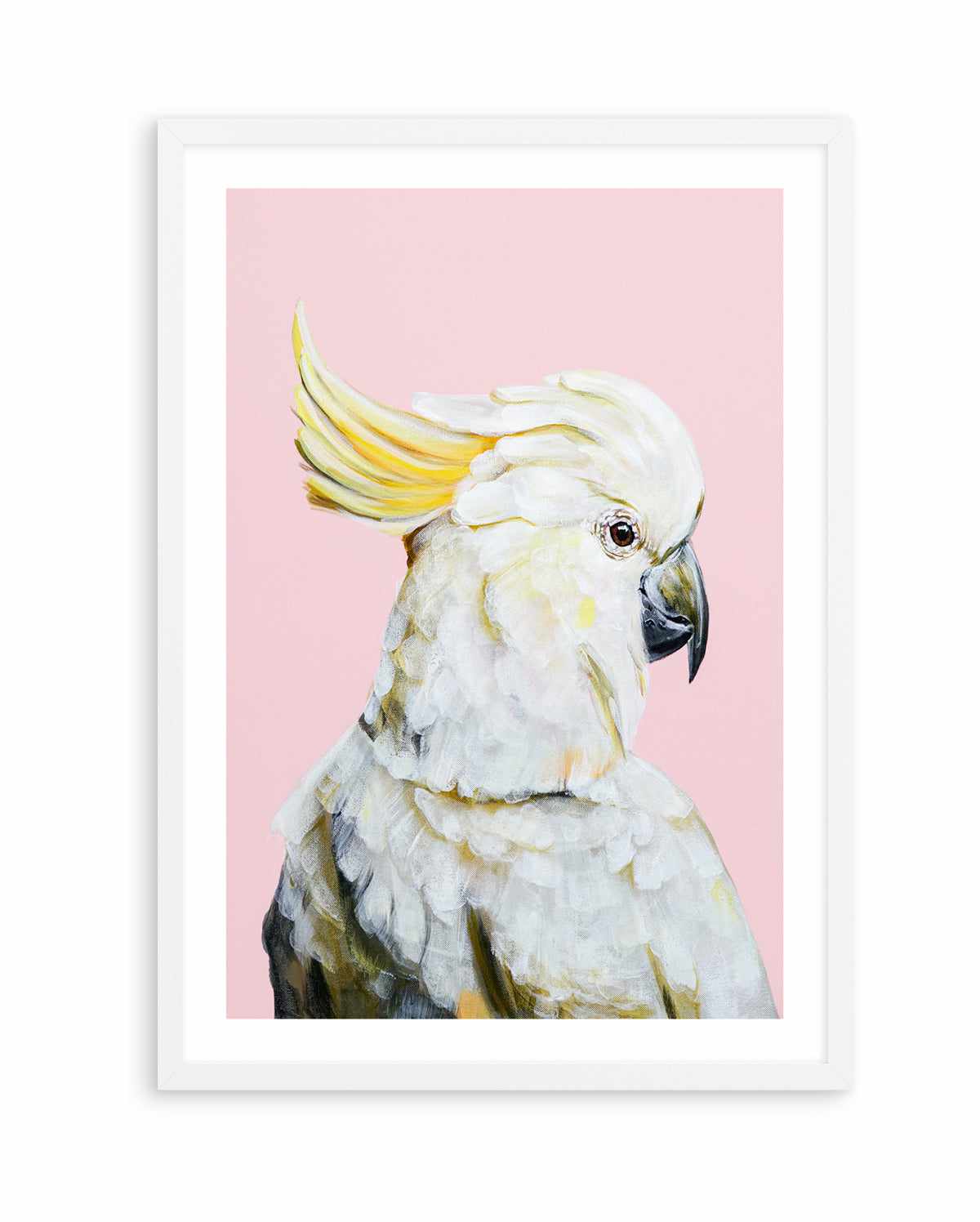 White Cockatoo II by Heylie Morris | Art Print