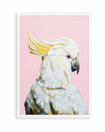 White Cockatoo II by Heylie Morris | Art Print