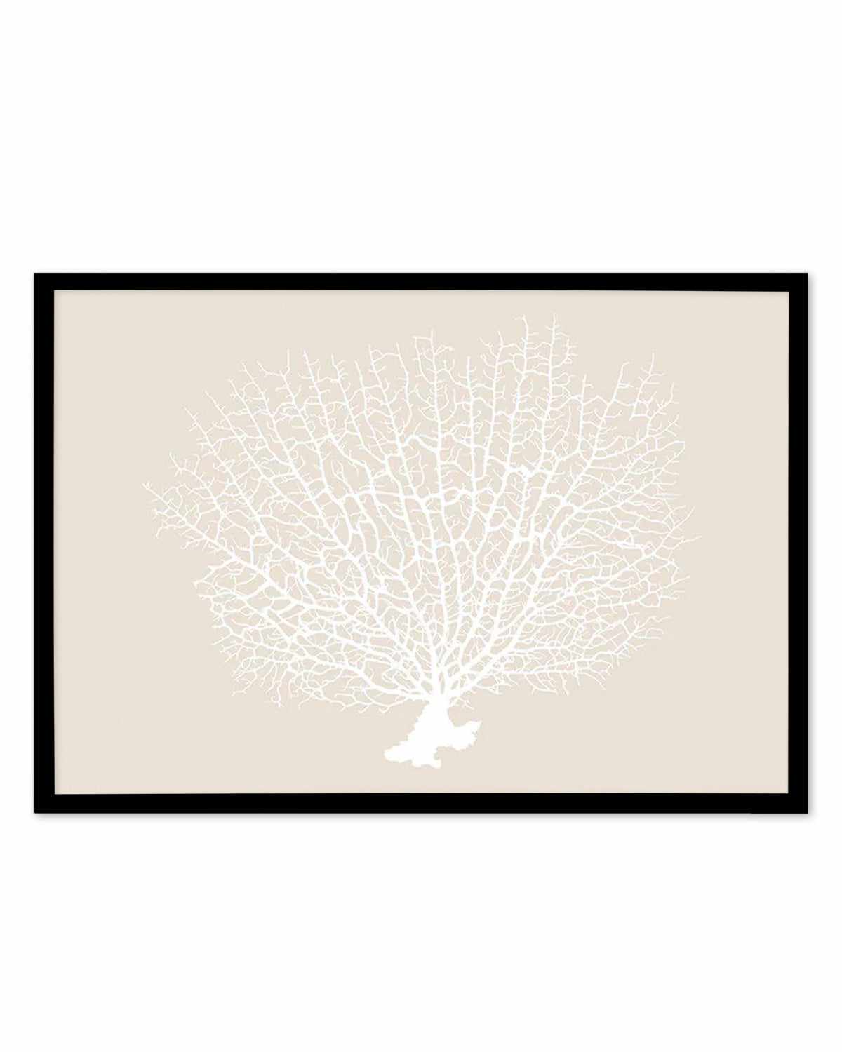 White Coral On Beige Art Print