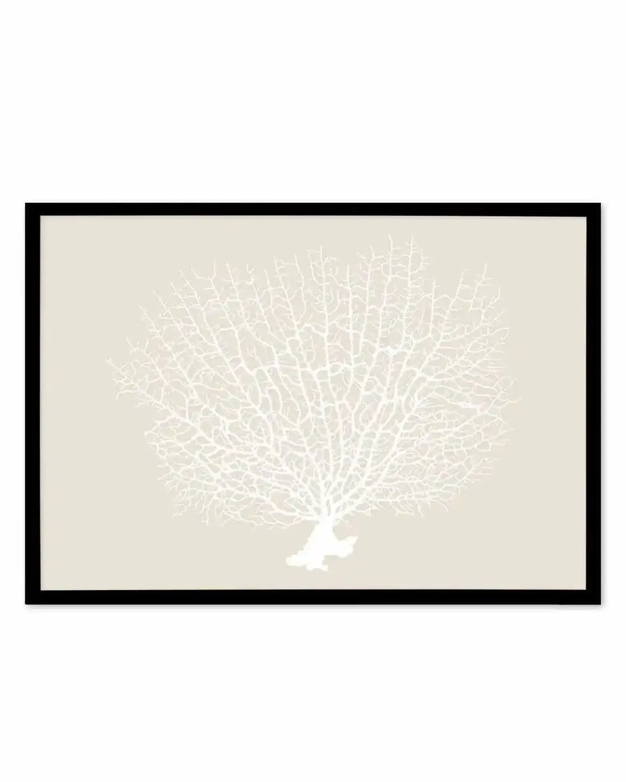 Art print featuring a detailed illustration of a white sea fan coral with a delicate, branching structure on a soft beige background, displayed in a black frame with a white border.