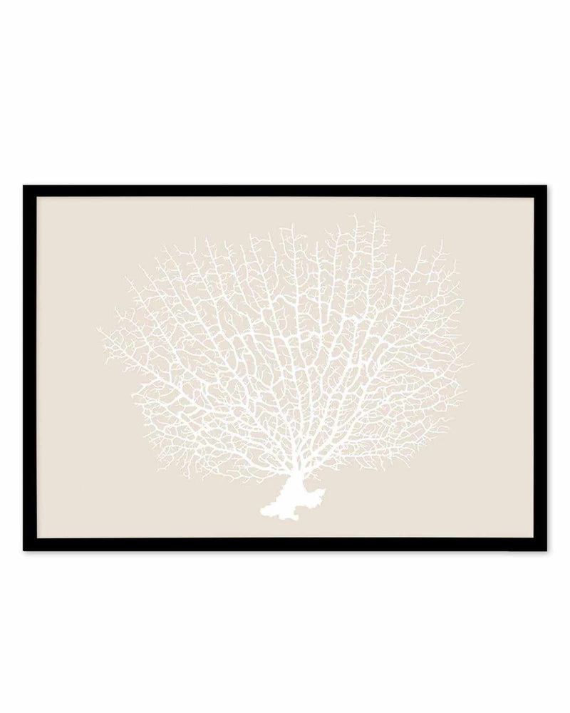 White Coral On Beige Art Print