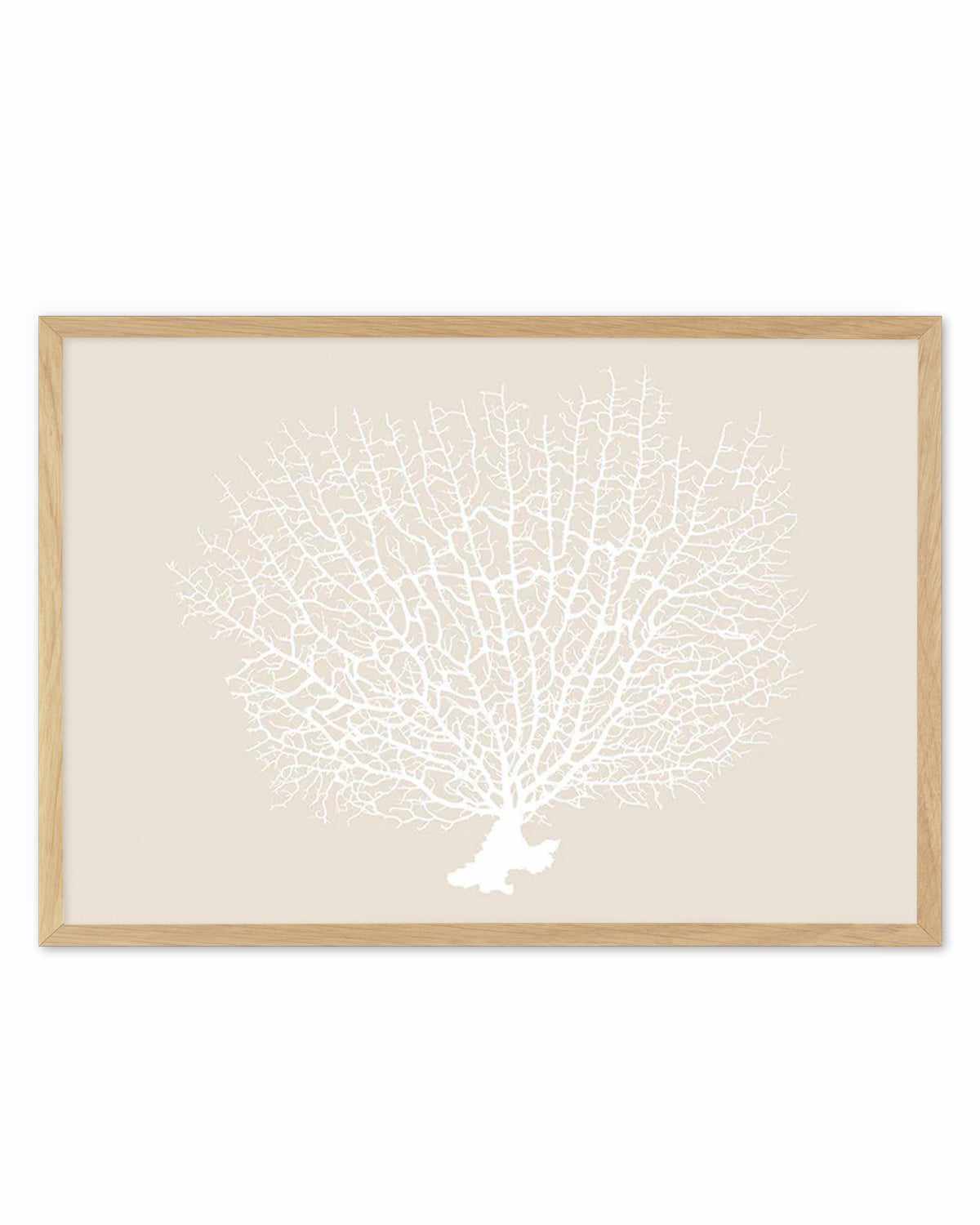 White Coral On Beige Art Print