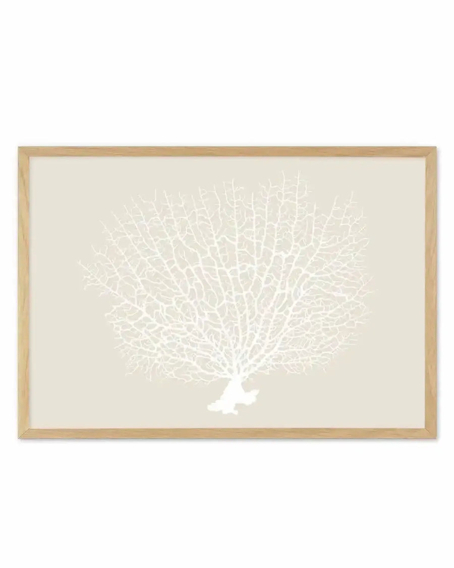 White Coral On Beige Art Print from Olive et Oriel where you can shop wallpaper and artworks online