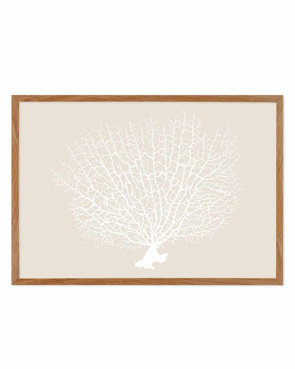 White Coral On Beige Art Print