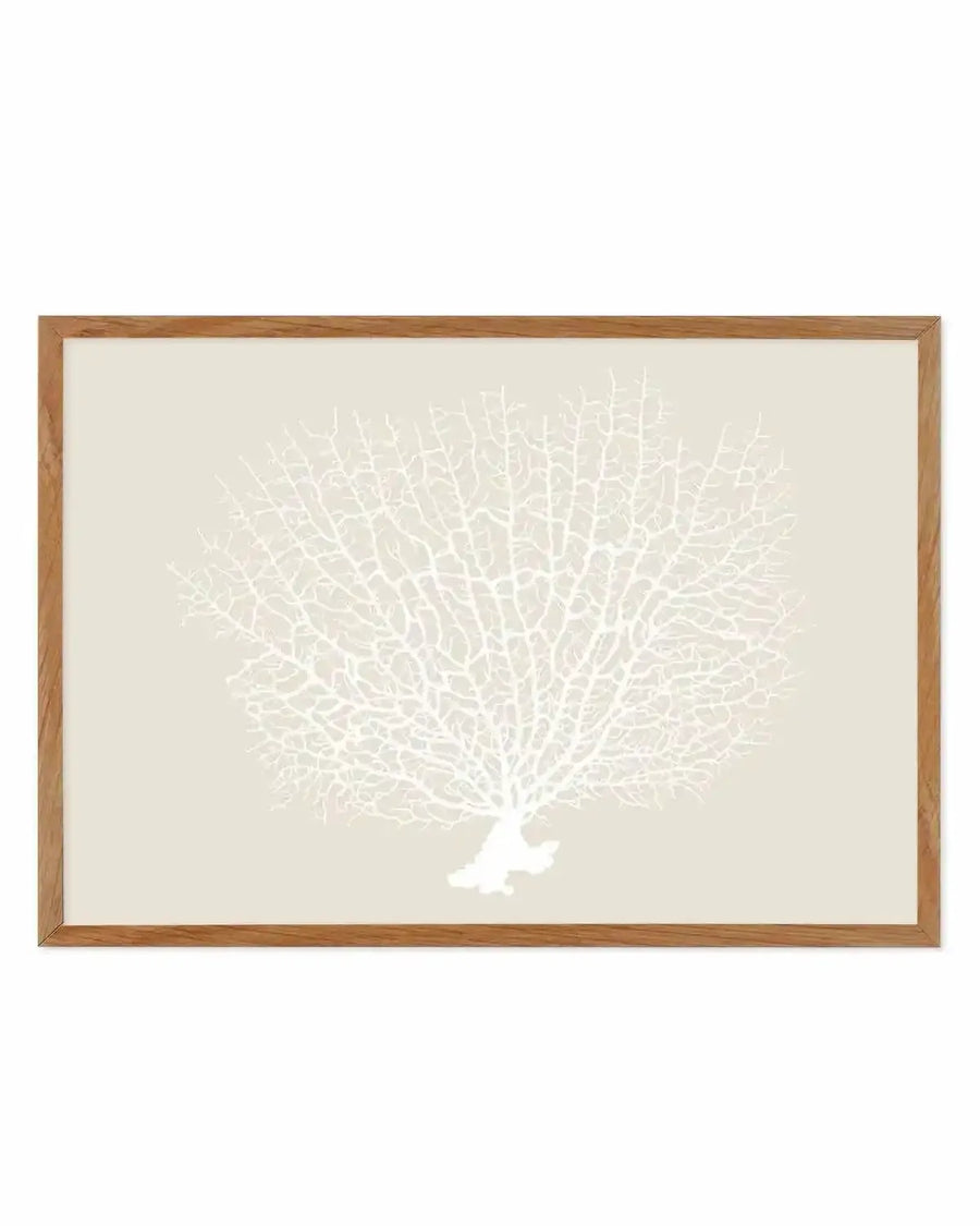Art print featuring a detailed illustration of white coral with intricate branching patterns on a soft beige background, displayed in a natural oak frame with white border.