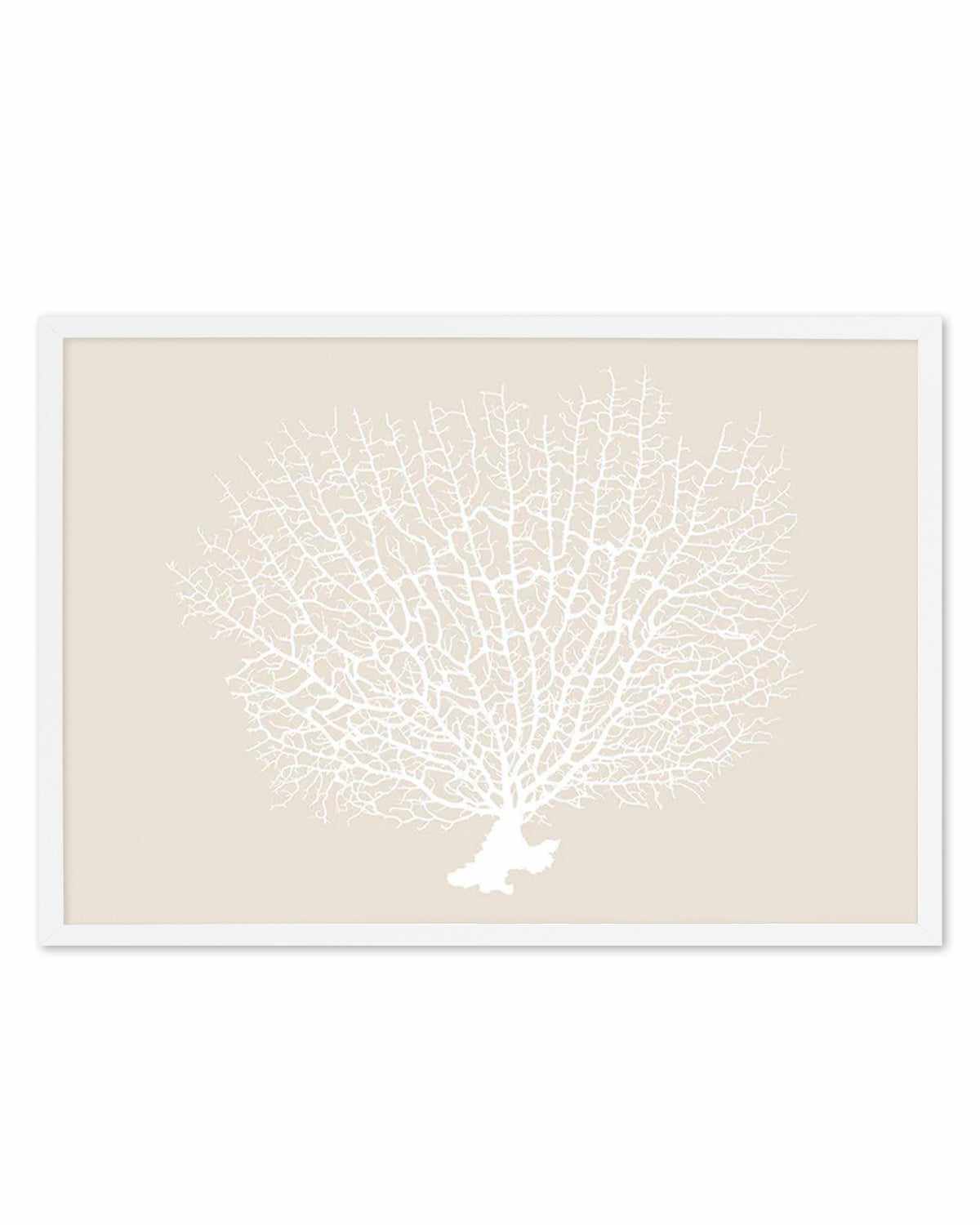 White Coral On Beige Art Print