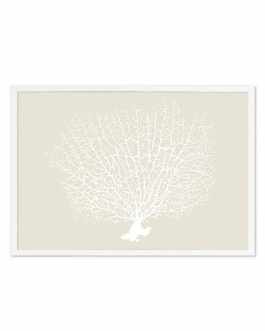 Art print featuring a detailed illustration of a white sea fan coral with intricate branching patterns, set against a soft beige background, displayed in a white frame with a white border.