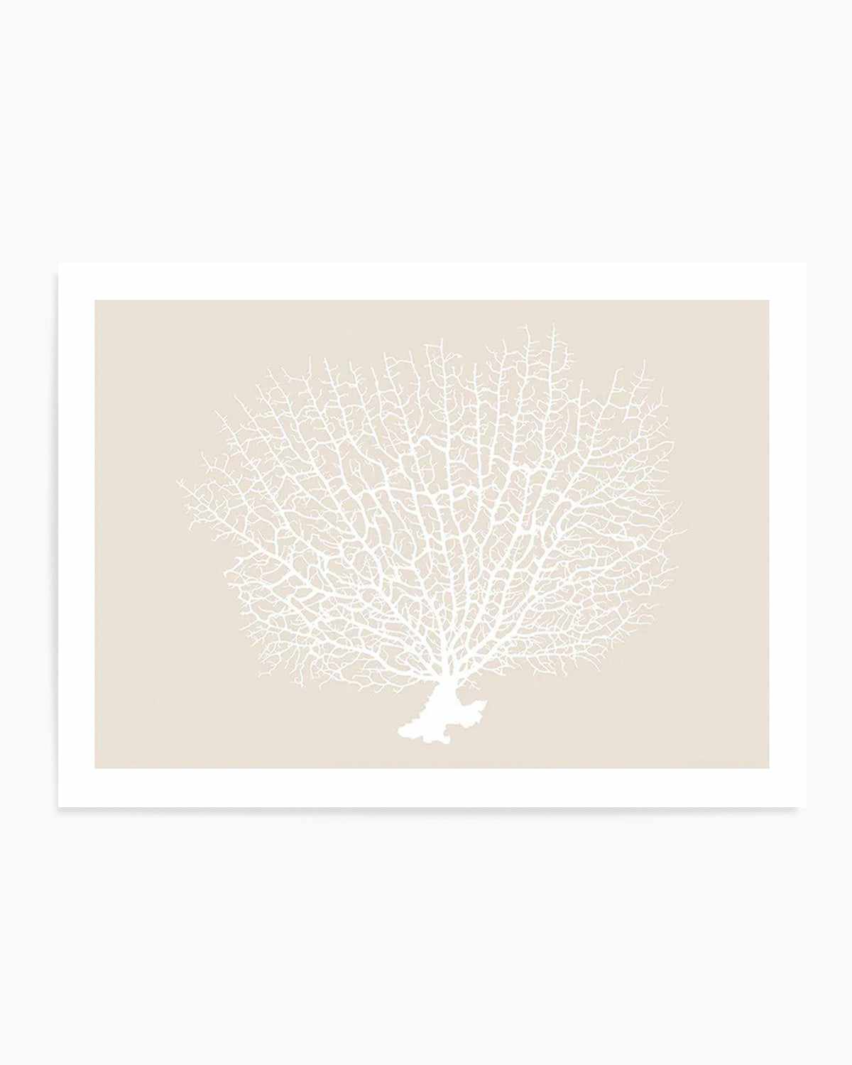 White Coral On Beige Art Print