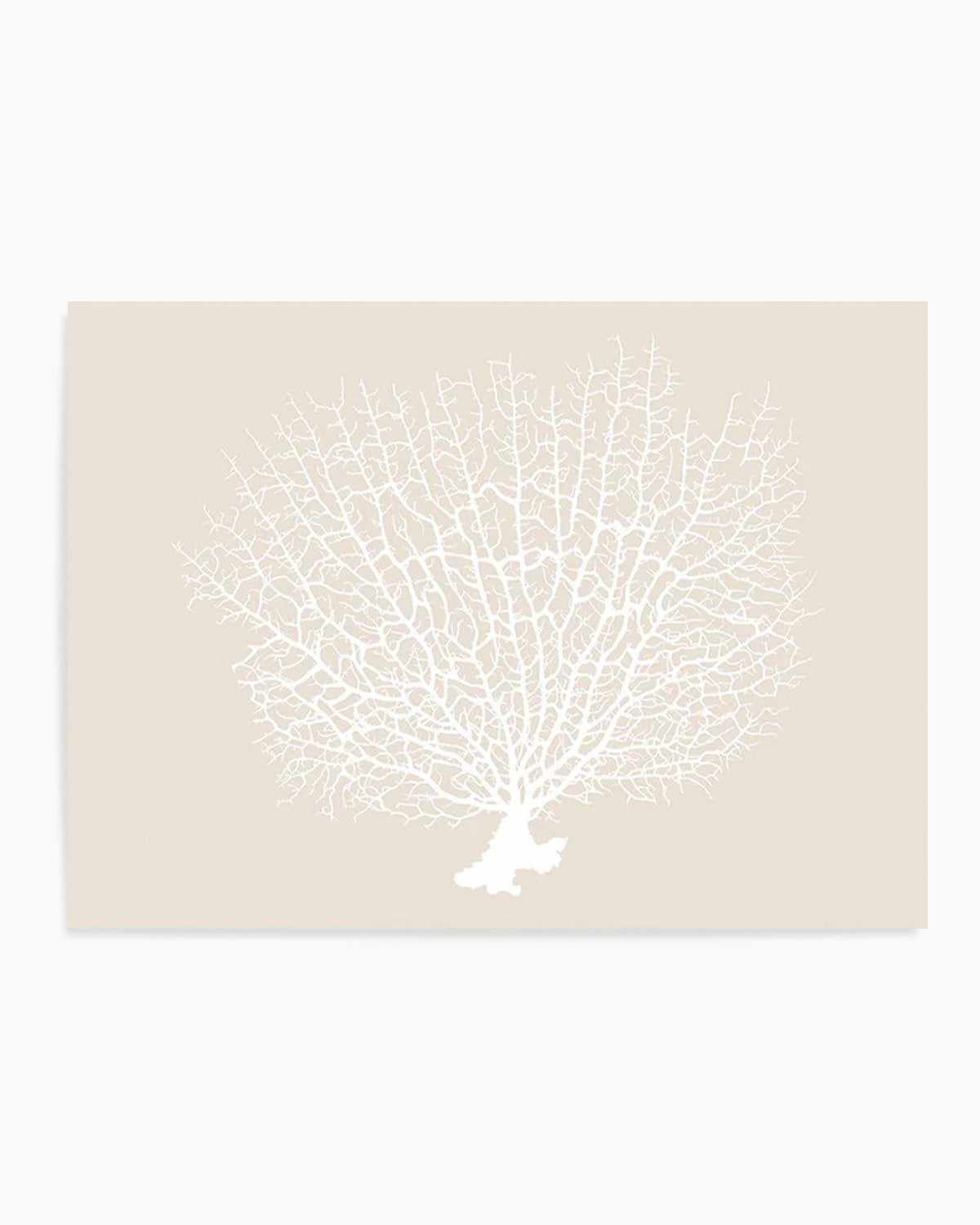 White Coral On Beige Art Print