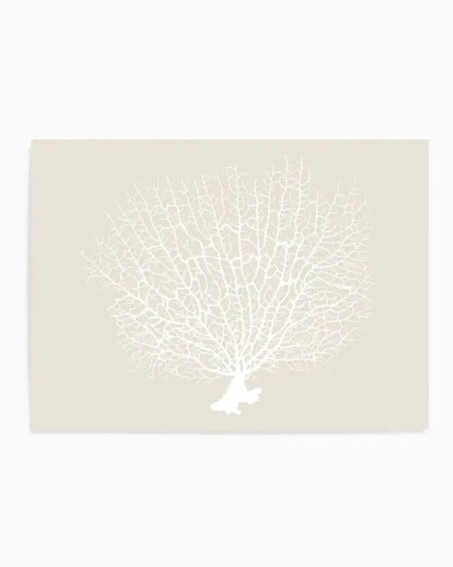 Art print featuring a detailed illustration of a white sea fan coral against a solid light beige background. The coral has a delicate, intricate branching pattern, fanning out from a small base.