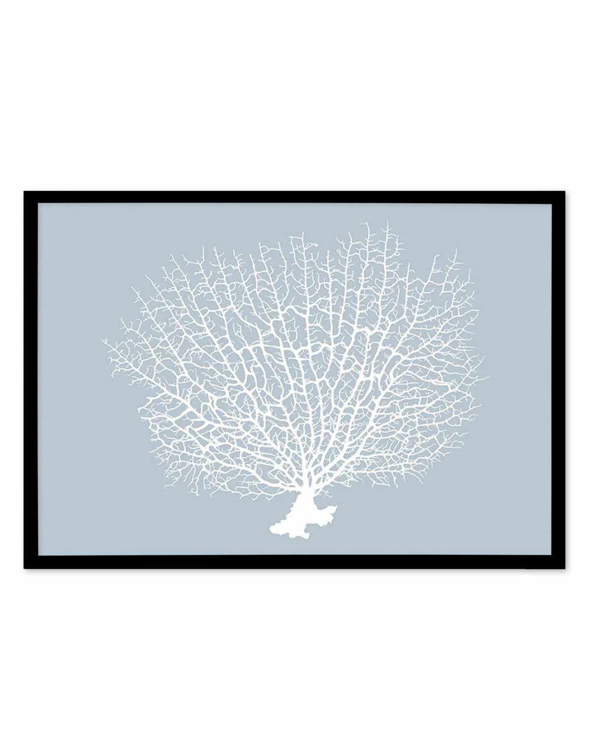 White Coral On Blue Art Print