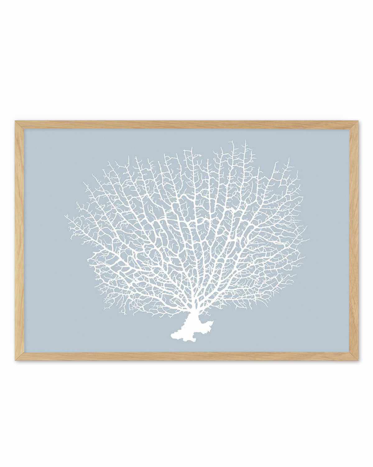 White Coral On Blue Art Print