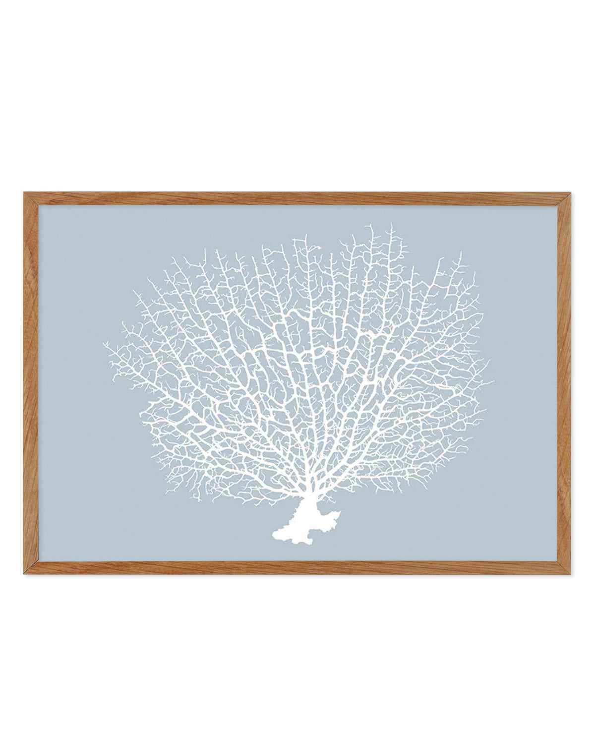 White Coral On Blue Art Print