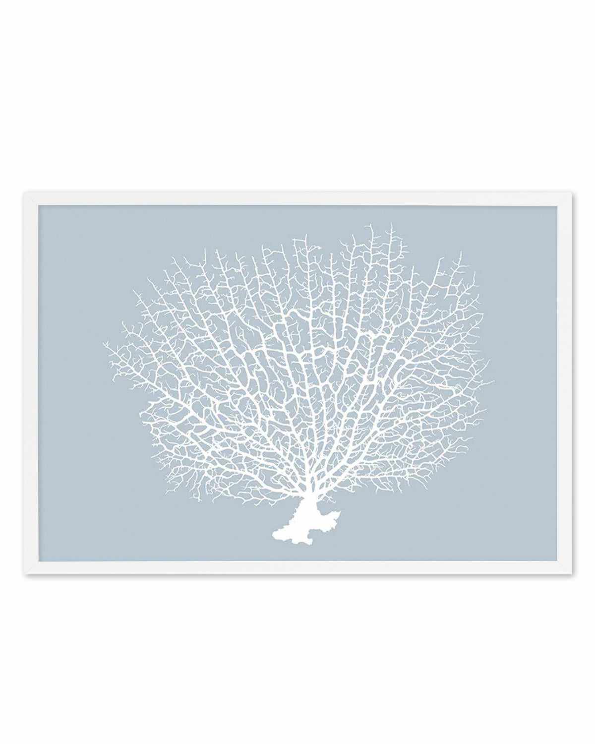 White Coral On Blue Art Print