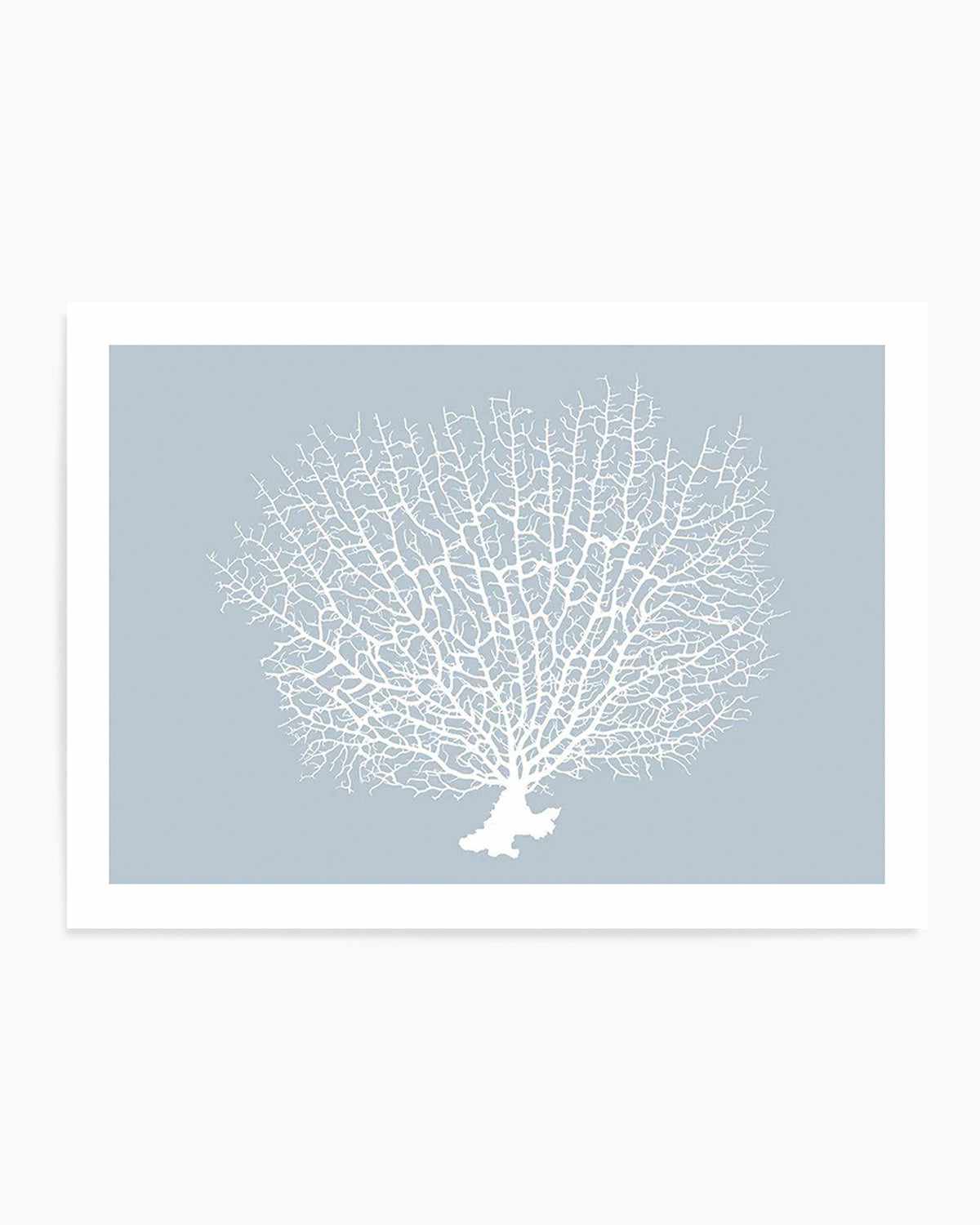 White Coral On Blue Art Print