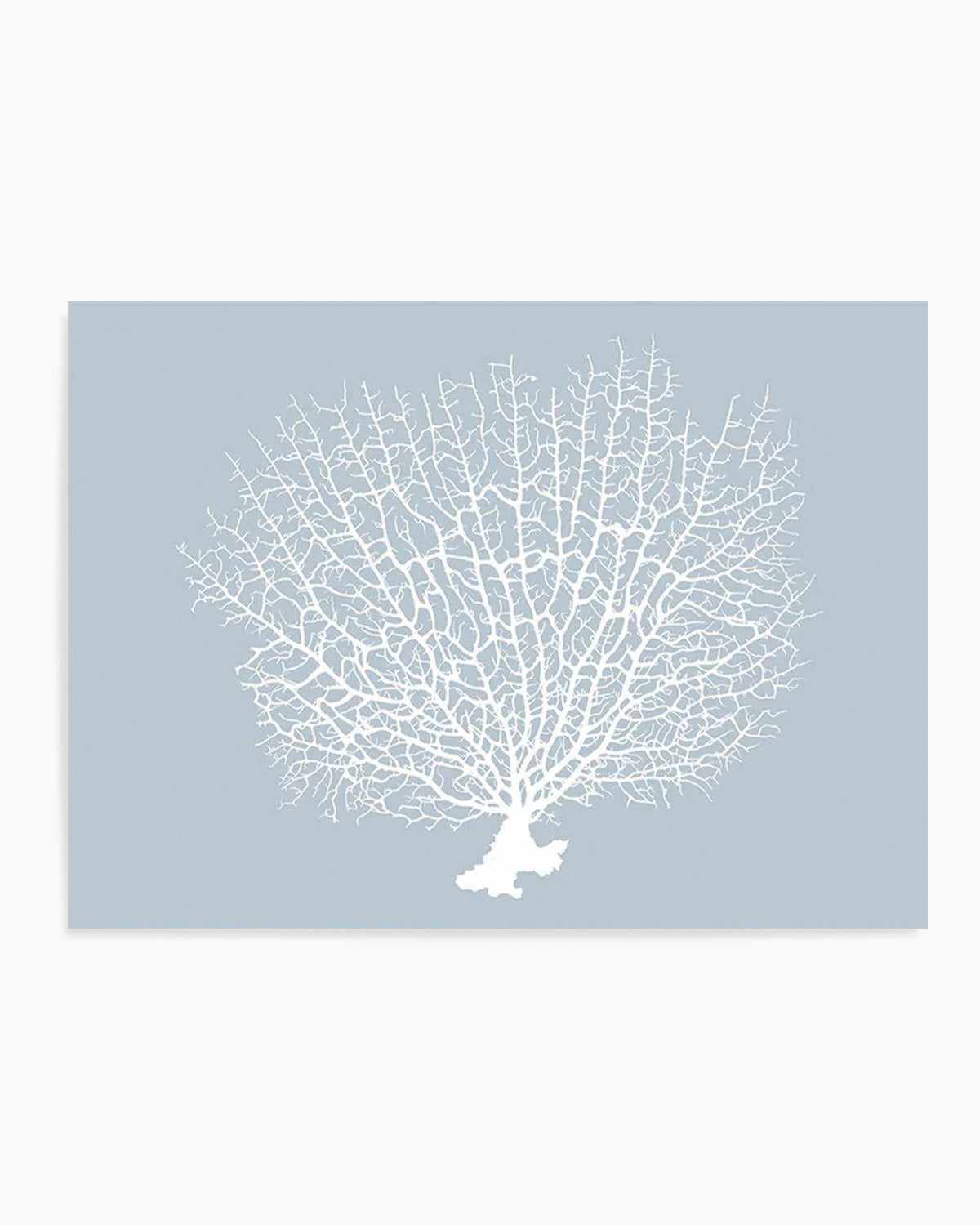 White Coral On Blue Art Print