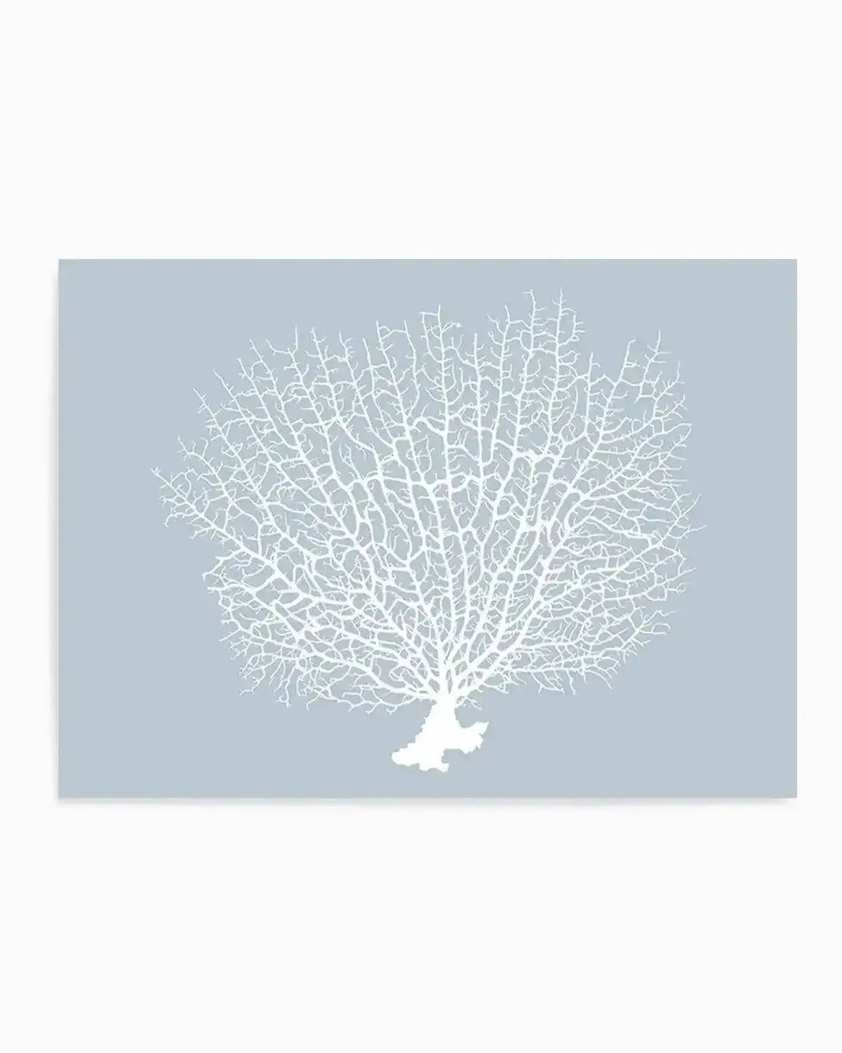 White Coral On Blue Art Print from Olive et Oriel where you can shop wallpaper and artworks online