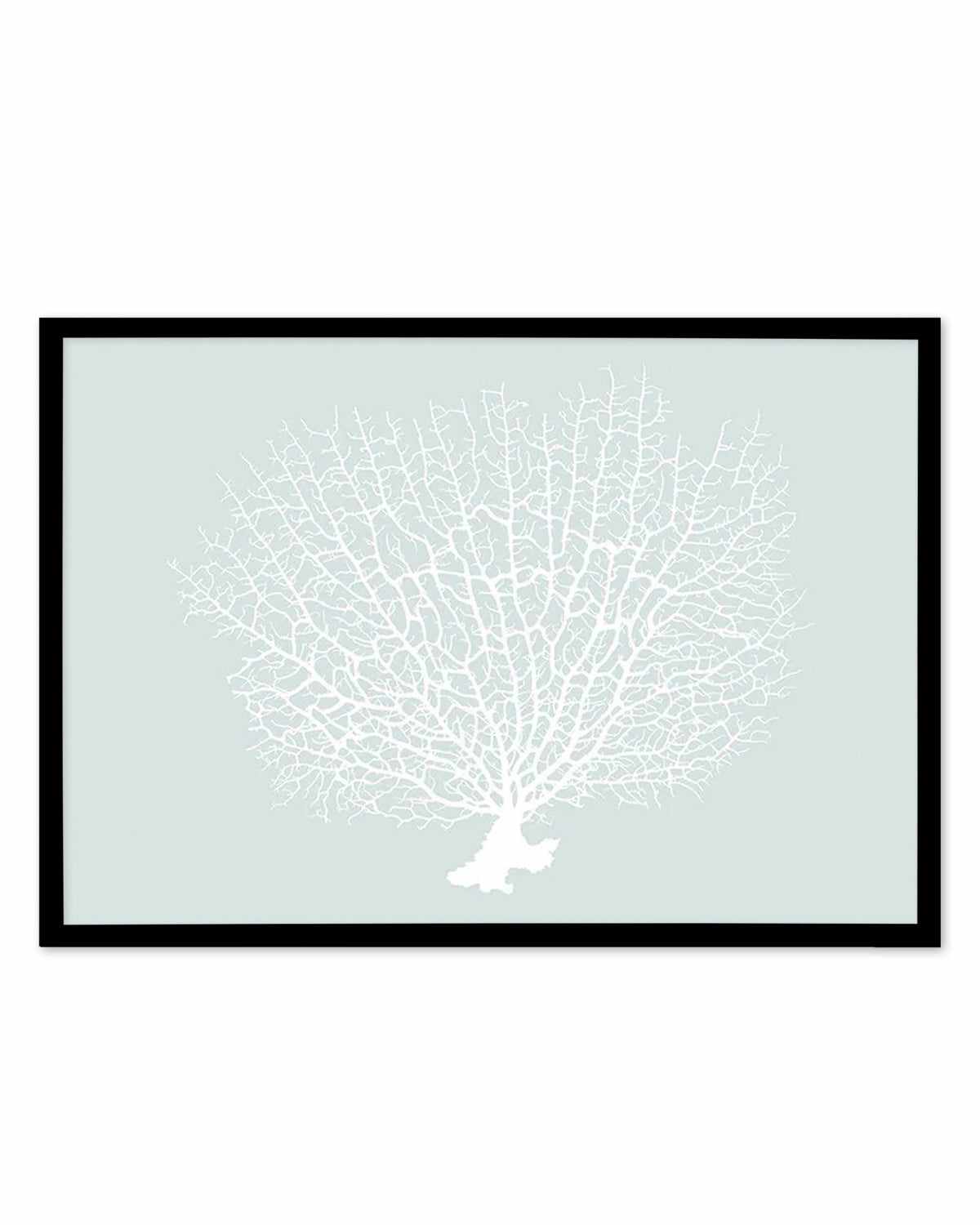 White Coral On Mint Art Print