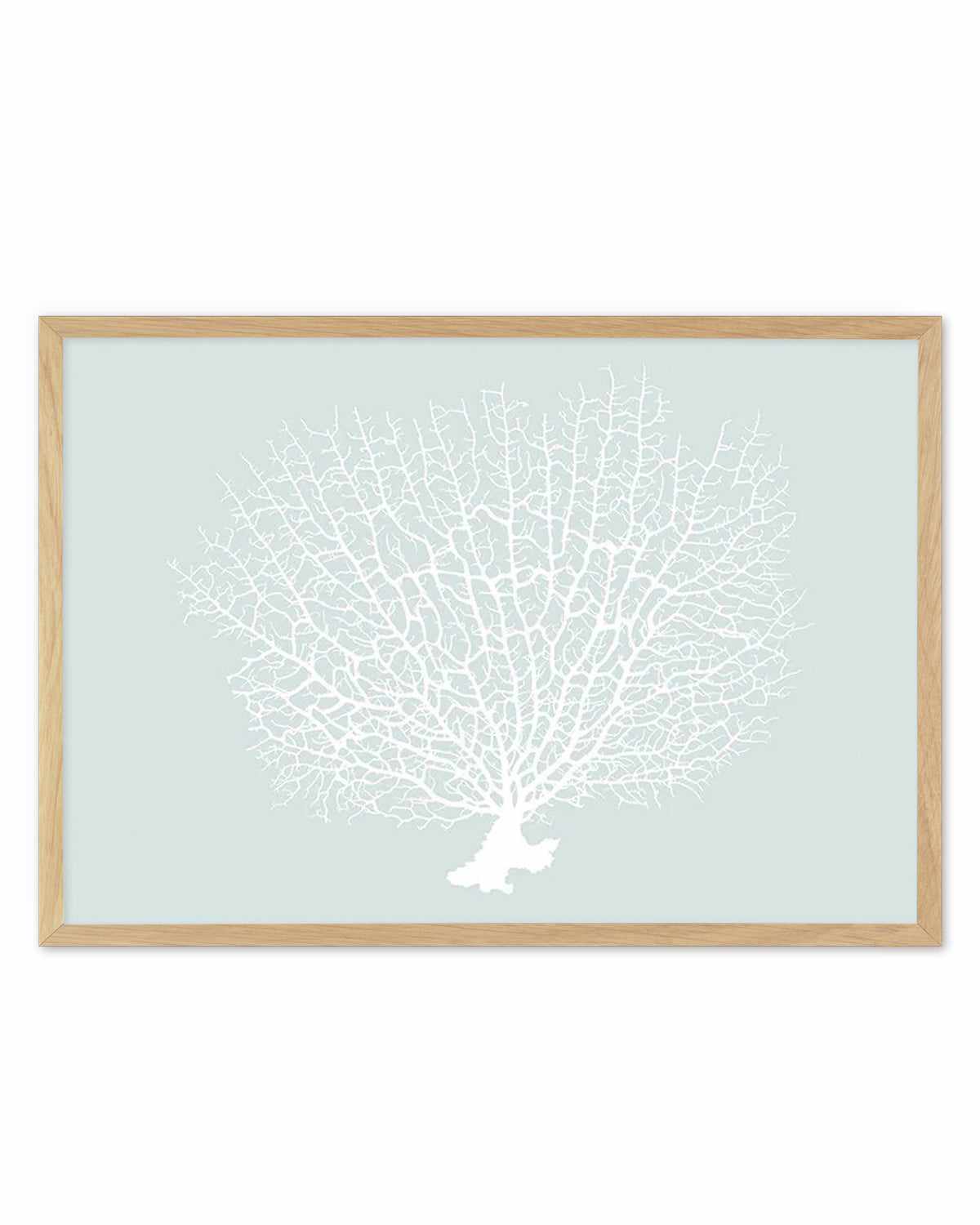 White Coral On Mint Art Print