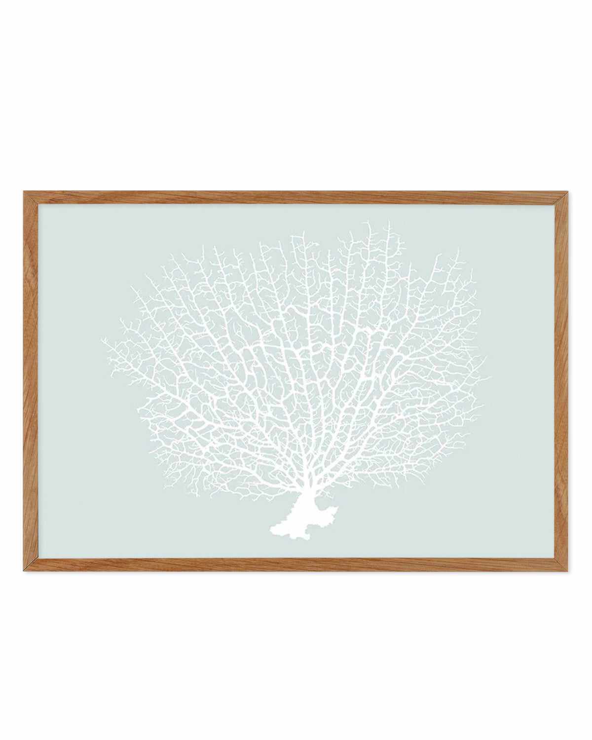 White Coral On Mint Art Print